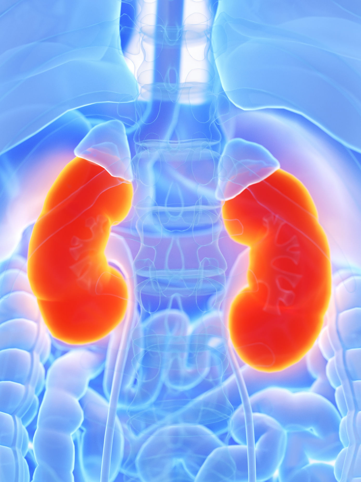 രക്തത്തിലെ ഉയർന്ന പഞ്ചസാരയുടെ അളവ് രക്തക്കുഴലുകളെ ദോഷകരമായി ബാധിക്കുന്നു, തുടർന്ന അവ വൃക്കകളെ തകരാറിലാക്കുകയും രക്തസമ്മർദ്ദം ഉയരുന്നതിലേക്ക് നയിക്കുകയും ചെയ്യുന്നു. ഇത് വൃക്കകളുടെ പ്രവർത്തനത്തെ കൂടുതൽ വഷളാക്കുകയും ചെയ്യുന്നു. ശരീരത്തിന് ആവശ്യത്തിന് ഇൻസുലിൻ ഉത്പാദിപ്പിക്കാൻ കഴിയാതെ വരികയോ ഫലപ്രദമായി ഉപയോഗിക്കാൻ കഴിയാതെ വരിമ്പോഴാണ് പ്രമേഹമുണ്ടാകുന്നത്. (Image Credits: Getty Images)
