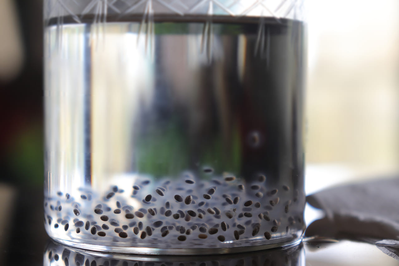 ചിയ വിത്തുകൾ പാലിൽ കുതിർത്ത് കഴിക്കുന്നതാണോ അതോ സാധാ വെള്ളത്തിൽ കുതിർത്ത് കഴിക്കുന്നതാണോ ശരീരഭാരം കുറയ്ക്കാൻ ഏറ്റവും നല്ല മാർ​ഗമെന്നത് പലരിൽ നിന്നും ഉയരുന്ന ചോദ്യമാണ്. ഇക്കാര്യത്തിലുള്ള നിങ്ങളുടെ എല്ലാ സംശയങ്ങളും നമുക്ക് വിശദമായി ഈ ലേഖനത്തിലൂ‌ടെ വായിച്ചറിയാം. (Image Credits: Getty Images)