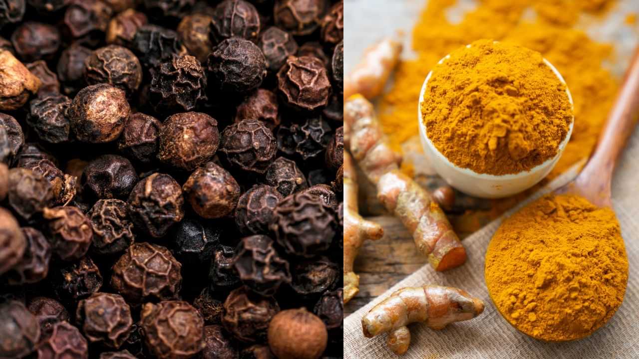 Gut Health: കുടലിൻ്റെ ആരോഗ്യത്തിന് മഞ്ഞളും കുരുമുളകും മാത്രം മതി ; കാൻസറിനെയും ഭയക്കേണ്ട Gut Health: കുടലിൻ്റെ ആരോഗ്യത്തിന് മഞ്ഞളും കുരുമുളകും മാത്രം മതി ; കാൻസറിനെയും ഭയക്കേണ്ട