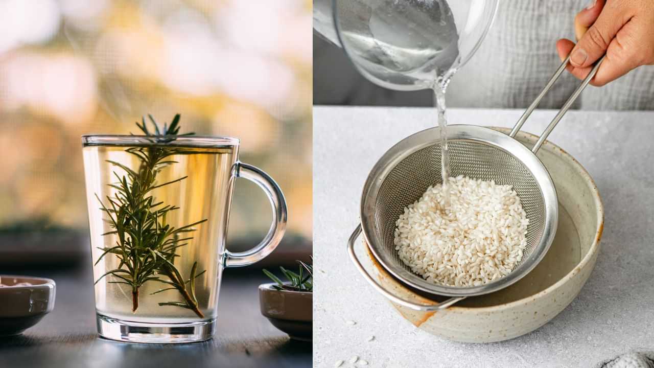 Hair Fall Remedies: റോസ്മേരിയോ കഞ്ഞിവെള്ളമോ? മുടി കൊഴിച്ചിൽ പെട്ടെന്ന് നിർത്താൻ ഏതാണ് നല്ലത് Hair Fall Remedies: റോസ്മേരിയോ കഞ്ഞിവെള്ളമോ? മുടി കൊഴിച്ചിൽ പെട്ടെന്ന് നിർത്താൻ ഏതാണ് നല്ലത്