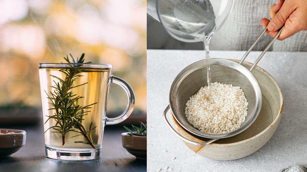 Hair Fall Remedies: റോസ്മേരിയോ കഞ്ഞിവെള്ളമോ? മുടി കൊഴിച്ചിൽ പെട്ടെന്ന് നിർത്താൻ ഏതാണ് നല്ലത്