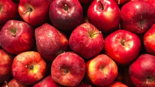 Navya Nair: ‘ആരെയാണാവോ കണികണ്ടത്,​ വരുണിന്റെ ബോഡി കിട്ടിയാലും എന്റെ ഗോഗിൾസ് കിട്ടില്ല’: സ്വയം ട്രോളി നവ്യ നായർ