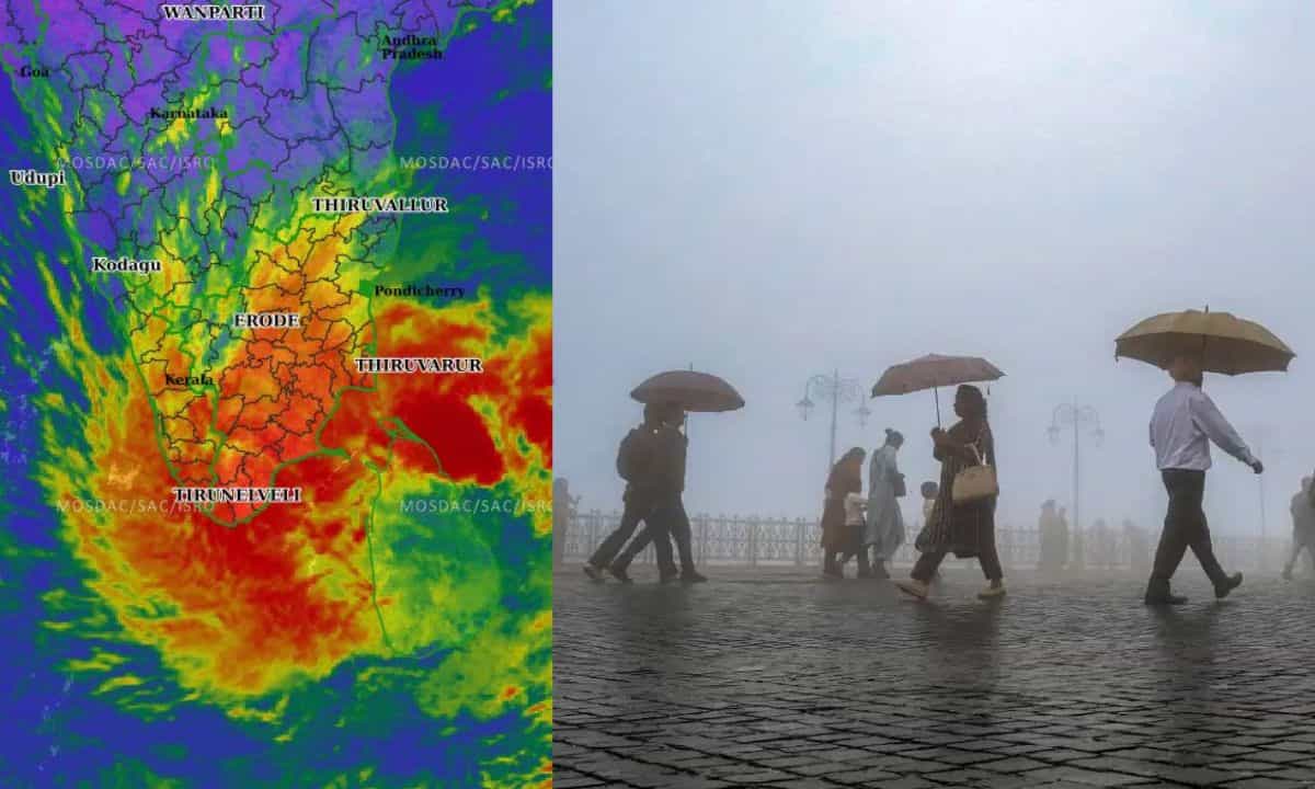 Kerala Rain Alert: ഡിറ്റ് വാ പ്രഹരം കേരളത്തിലും! വരുന്നത് അതിശക്തമായ മഴ, വിവിധ ജില്ലകളിൽ മുന്നറിയിപ്പ്