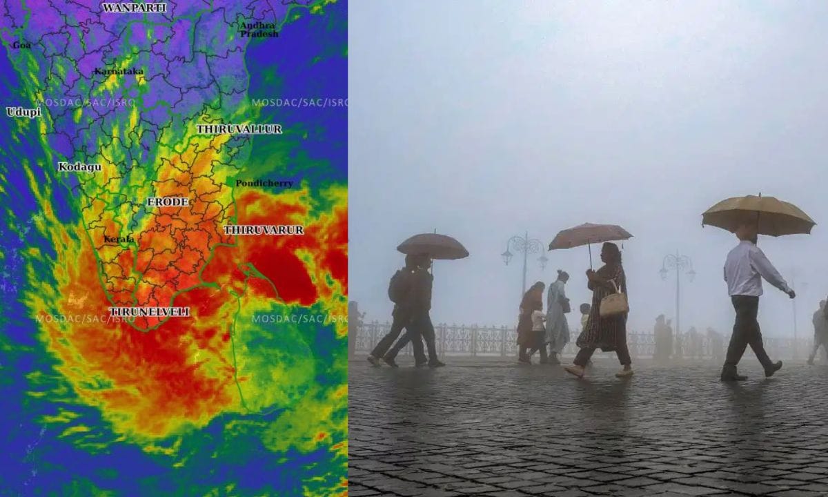 Kerala Rain Alert: ഡിറ്റ് വാ പ്രഹരം കേരളത്തിലും! വരുന്നത് അതിശക്തമായ മഴ, വിവിധ ജില്ലകളിൽ മുന്നറിയിപ്പ്