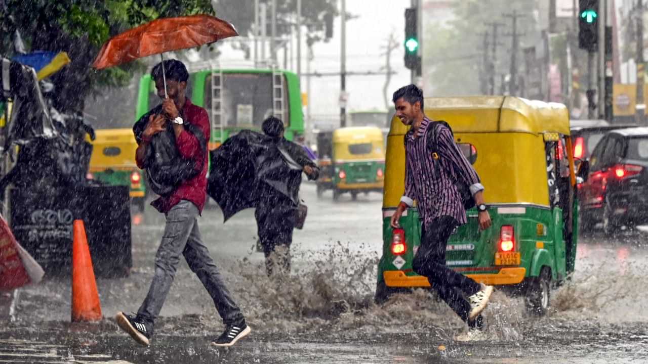 Kerala Rain Alert: തെക്കൻ ജില്ലകളിൽ മഴ തകർക്കും! ഇന്ന് ഏഴിടത്ത് യെല്ലോ അലർട്ട്; മുന്നറിയിപ്പ് ഇങ്ങനെ Kerala Rain Alert: തെക്കൻ ജില്ലകളിൽ മഴ തകർക്കും! ഇന്ന് ഏഴിടത്ത് യെല്ലോ അലർട്ട്; മുന്നറിയിപ്പ് ഇങ്ങനെ