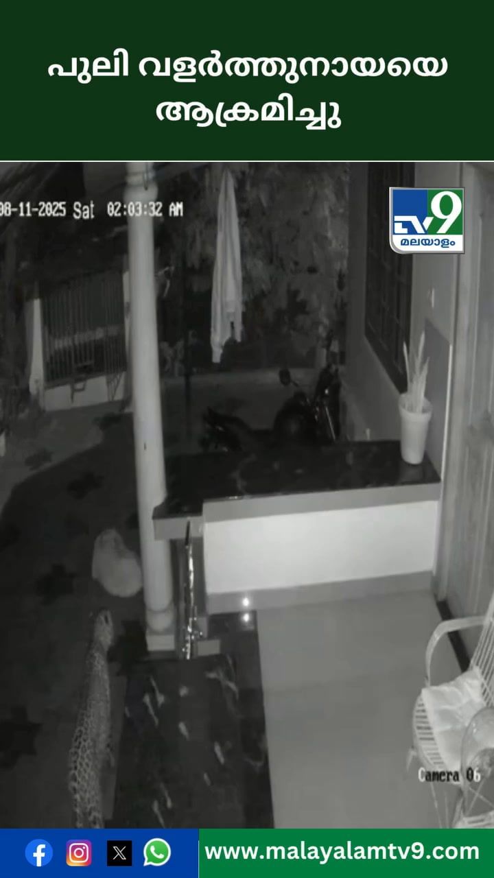 വയനാട്ടിൽ പുലി വളർത്തുനായയെ ആക്രമിച്ചു