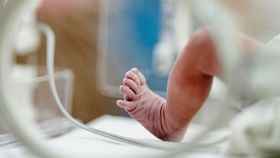 Lesbian Couple Arrest: സ്വവർഗ പങ്കാളിക്കൊപ്പം ജീവിക്കണം; 5 മാസം പ്രായമായ കുഞ്ഞിനെ കൊലപ്പെടുത്തി, ഇരുവരും അറസ്റ്റിൽ