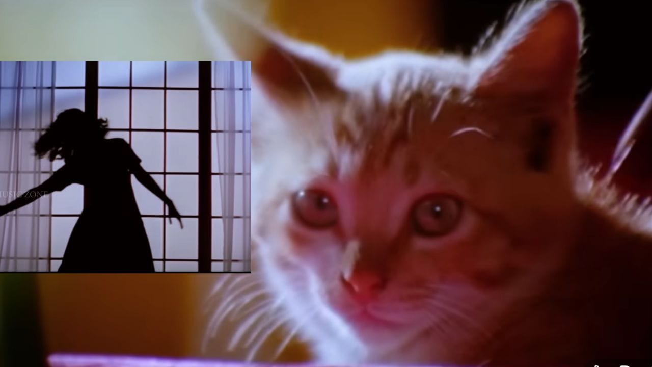 ഇനി ആരെയെങ്കിലും ഒന്ന് കല്യാണം കഴിക്കാം എന്ന് വിചാരിച്ചാല്ഡ തന്നെ അപ്പോഴും കുടുക്കായി നിൽക്കുന്നത് ഈ പൂച്ചയും ആ ഗാനവും മാത്രം. യഥാർത്ഥത്തിൽ തന്നെ ഒരാൾ പ്രണയിക്കുന്നുണ്ടെങ്കിൽ വേറെ ആരെങ്കിലും പോയി ഇഷ്ടമാണെന്ന് പറയാൻ പറ്റില്ല. എന്നാൽ ഇതിനിടയിൽ ആമിയെ സ്വന്തമാക്കി ഡെന്നിസും സ്കോർ അടിച്ചു.  (Photo: Youtube/Instagram)