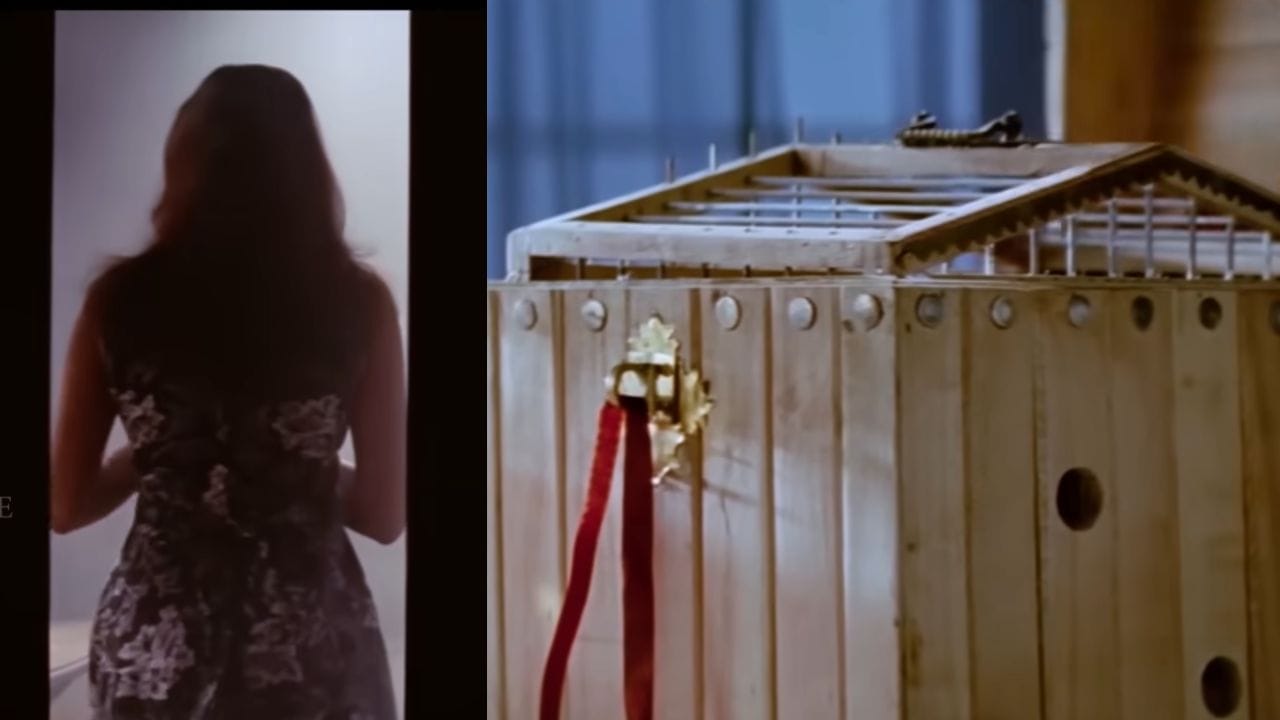 എത്രയോ ജന്മമായി നിന്നെ ഞാൻ തേടുന്നു... ഈ ഗാനവും അതിലെ പൂച്ചയും ആ സ്ത്രീ രൂപവും. സമ്മർ ബത്ലഹം എന്ന ചിത്രത്തിലെ ആദ്യ മുതൽ അവസാനം വരെയുള്ള ഇതുവരെയും ആർക്കും പൊട്ടിക്കാൻ പറ്റാത്ത ഒരു സസ്പെൻസ് ആണ്. രവിശങ്കർ എന്ന നായകന്റെ ജീവിതത്തിലെ സുപ്രധാനമായ വഴിത്തിരിവായിരുന്നു കൂട്ടിലെത്തിയ പൂച്ച. (Photo: Youtube/Instagram)