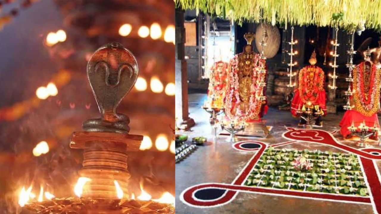 Mannarasala Ayilyam 2025: നാ​ഗരാജപുണ്യത്തിനായി ഭക്തർ; മണ്ണാറശാല നാഗരാജ ക്ഷേത്രത്തിൽ ‌ഇന്ന് പൂയം തൊഴൽ, നാളെ ആയില്യം