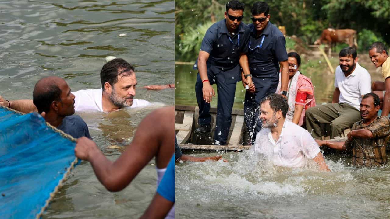 Rahul Gandhi: വലയെറിഞ്ഞു, പിന്നാലെ കുളത്തിലേക്ക് ചാടി; തിരഞ്ഞെടുപ്പ് പ്രചാരണത്തിനിടെ മീൻപിടിച്ച് രാഹുൽ ​ഗാന്ധി