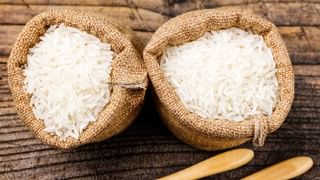 Throwback Pictures: മോഹൻലാൽ ചിത്രത്തിലൂടെ അരങ്ങേറ്റം, തമിഴ് സിനിമയിലൂടെ ശ്രദ്ധേയം; വിവാദ നായിക; ആളെ മനസ്സിലായോ?