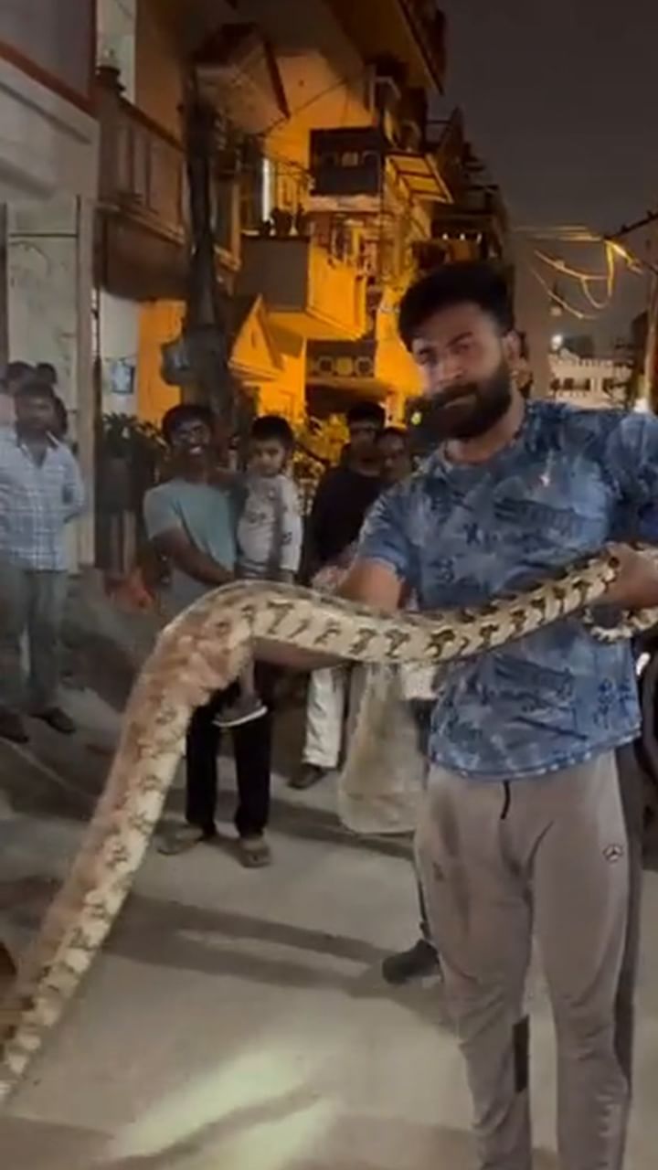 ബെംഗളൂരുവിൽ കണ്ടെത്തിയ റോക്ക് പൈത്തൺ