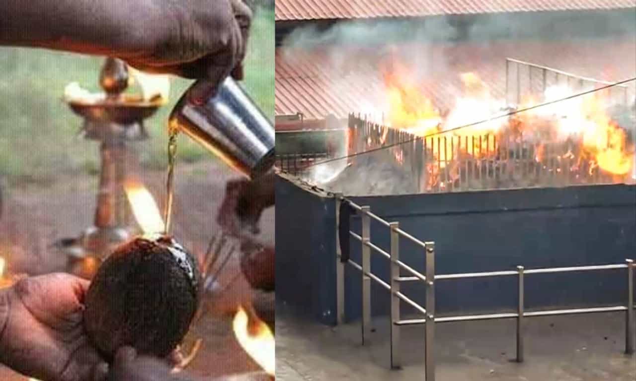 Sabarimala Mandala Kalam 2025: ആത്മസമർപ്പണത്തിന്റെ അമൃതകുംഭം! ശബരിമലയിൽ നെയ്തേങ്ങ കൊണ്ടു പോകുന്നതിന്റെ പ്രാധാന്യം