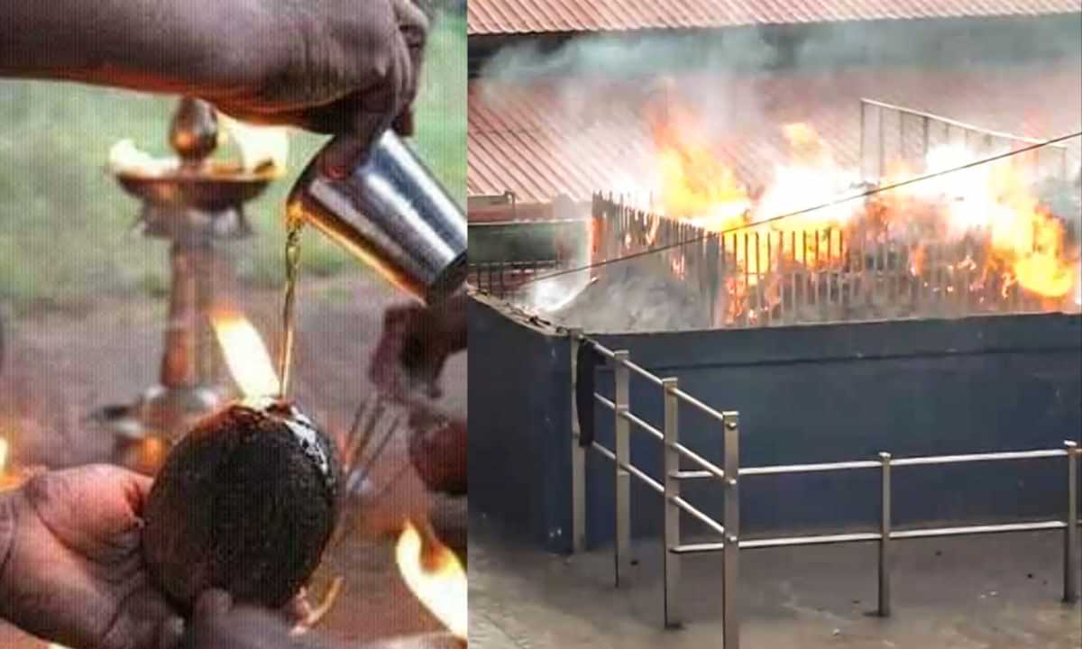 Sabarimala Mandala Kalam 2025: ആത്മസമർപ്പണത്തിന്റെ അമൃതകുംഭം! ശബരിമലയിൽ നെയ്തേങ്ങ കൊണ്ടു പോകുന്നതിന്റെ പ്രാധാന്യം Sabarimala Mandala Kalam 2025: ആത്മസമർപ്പണത്തിന്റെ അമൃതകുംഭം! ശബരിമലയിൽ നെയ്തേങ്ങ കൊണ്ടു പോകുന്നതിന്റെ പ്രാധാന്യം