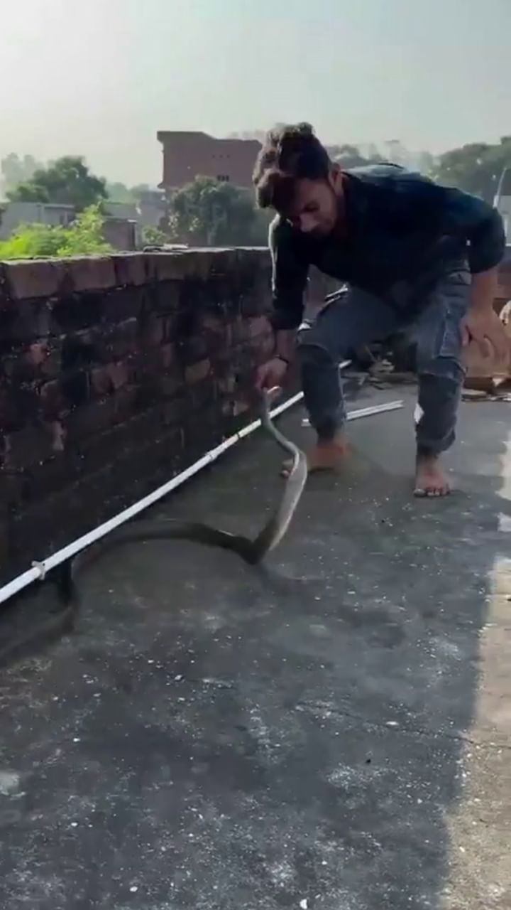 ഒരു പാമ്പിനെ പിടിക്കാൻ പെടുന്ന പാട്