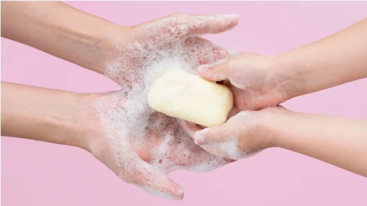 Donkey Milk Soap: ദുബായില്‍ തരംഗമായി കഴുതപ്പാല്‍ സോപ്പ്; കാരണം ഇതാണ്‌