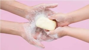 Donkey Milk Soap: ദുബായില്‍ തരംഗമായി കഴുതപ്പാല്‍ സോപ്പ്; കാരണം ഇതാണ്‌