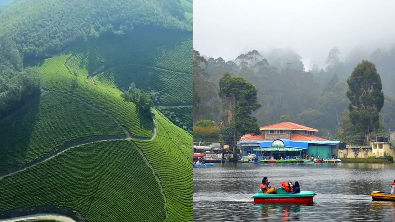 Munnar vs Kodaikanal Trip