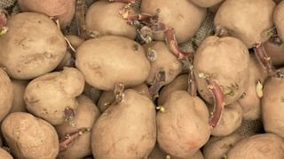 Dhruv Jurel: തുടരെ തുടരെ സെഞ്ചുറികള്‍, ‘പന്ത്’ വന്നാലും മാറില്ലെന്ന് ഉറപ്പിച്ച് ജൂറല്‍