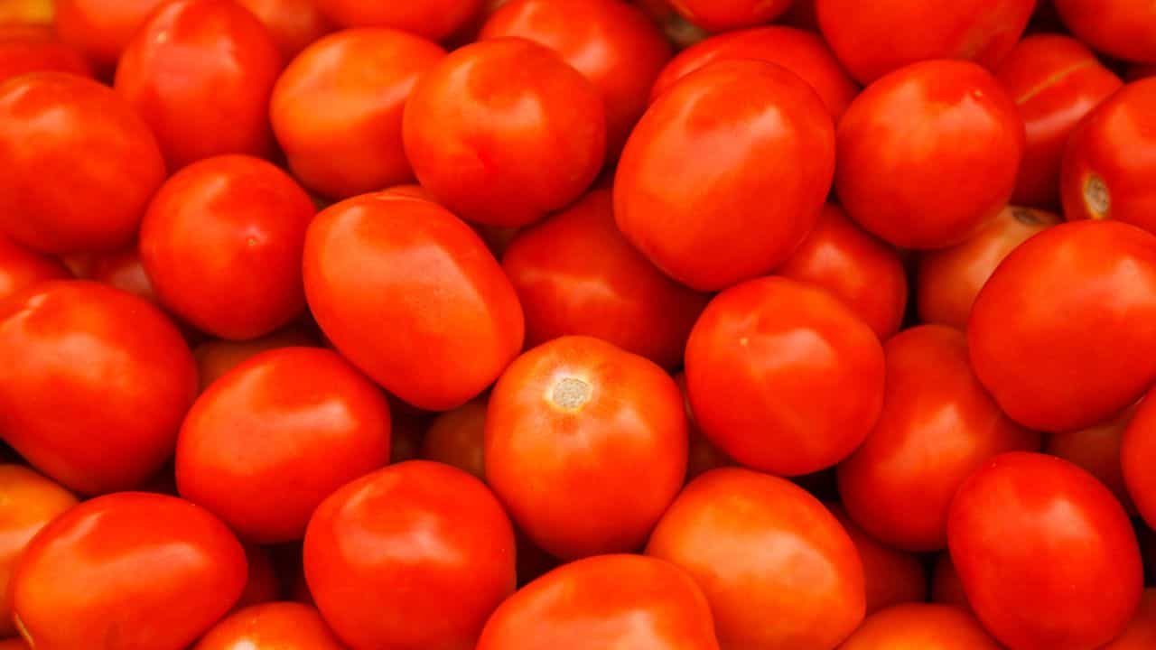 Tomato Price: റോക്കറ്റ് സ്പീഡില്‍ തക്കാളി; വില നിയന്ത്രിക്കാന്‍ സര്‍ക്കാര്‍ എന്തെങ്കിലും ചെയ്യുമോ?