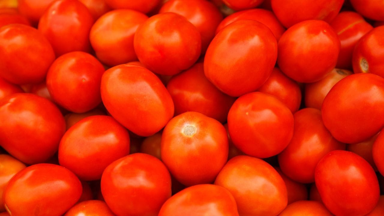 Tomato Price: റോക്കറ്റ് സ്പീഡില്‍ തക്കാളി; വില നിയന്ത്രിക്കാന്‍ സര്‍ക്കാര്‍ എന്തെങ്കിലും ചെയ്യുമോ?