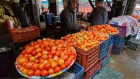 Tomato Price: തക്കാളിവില റെക്കോഡ് താഴ്ചയില്‍; ആവശ്യമുള്ളത് വേഗം വാങ്ങിക്കോളൂ...