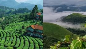 Travel Tips: ഊട്ടിയാണോ കൂർഗാണോ നിങ്ങൾക്കിഷ്ട്ടം: അടുത്ത യാത്രയ്ക്ക് പോകേണ്ടത് ഇവിടേക്ക്