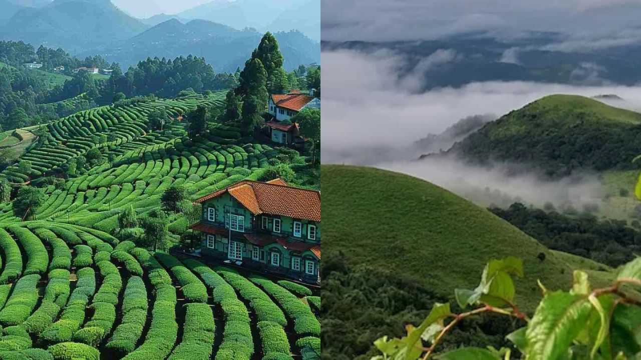 Travel Tips: ഊട്ടിയാണോ കൂർഗാണോ നിങ്ങൾക്കിഷ്ട്ടം: അടുത്ത യാത്രയ്ക്ക് പോകേണ്ടത് ഇവിടേക്ക്