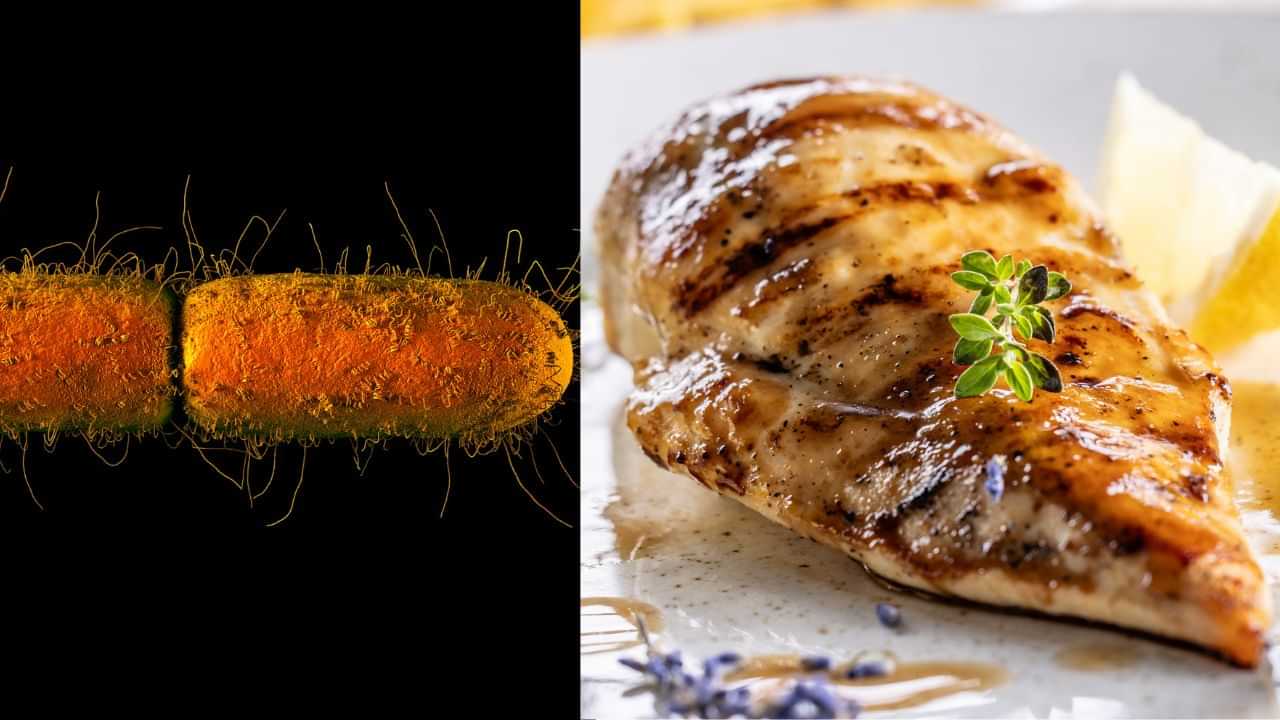 Urinary Tract Infection: മൂത്രാശയ അണുബാധയ്ക്ക് പിന്നിലെ കാരണം അടുക്കളയോ?; പഠനം പറയുന്നു Urinary Tract Infection: മൂത്രാശയ അണുബാധയ്ക്ക് പിന്നിലെ കാരണം അടുക്കളയോ?; പഠനം പറയുന്നു