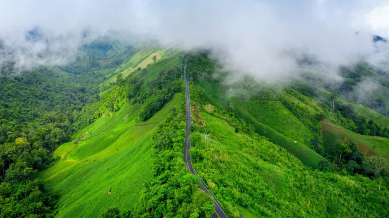 Valaparai E Pass: കൈയ്യുംവീശി പോകല്ലേ! ഇ-പാസില്ലാതെ വാൽപ്പാറയിലേക്ക് പോകണ്ട; യാത്രക്കാർ അറിയാൻ