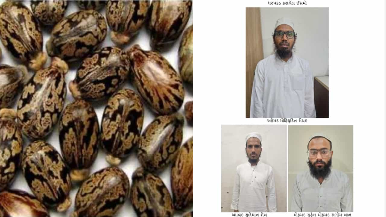 What Is Ricin: സയനൈഡിനെക്കാൾ 6000 ഇരട്ടി തീവ്രത ; ഇന്ത്യക്കെതിരെ ഉപയോഗിക്കാൻ തീരുമാനിച്ചിരുന്ന റൈസിൻ എന്താണെന്നറിയാം