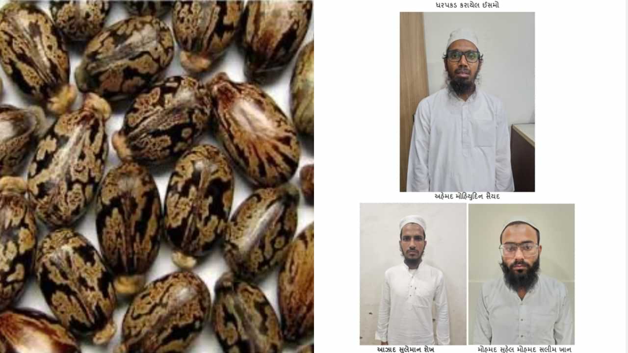 What Is Ricin: സയനൈഡിനെക്കാൾ 6000 ഇരട്ടി തീവ്രത ; ഇന്ത്യക്കെതിരെ ഉപയോഗിക്കാൻ തീരുമാനിച്ചിരുന്ന റൈസിൻ എന്താണെന്നറിയാം