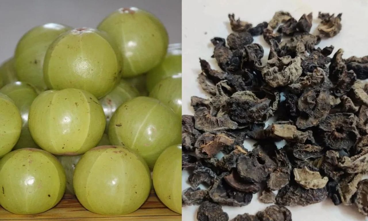  തണുപ്പ് കാലം എത്തിയാൽ ശരീരത്തിലെ ഓരോ ഭാഗവും അതിനനുസരിച്ച് പ്രതിരോധിക്കും. മുടിയും ചർമ്മവും പ്രതിരോധശേഷിയെയും എല്ലാം ശൈത്യകാലത്ത് പ്രശ്നമാകും. ചർമ്മത്തിൽ ആണെങ്കിൽ ചർമ്മം വിണ്ടുകീറൽ. ചിലർക്ക് പൊട്ടി തൊലി പോയി അങ്ങനെയുള്ള പ്രശ്നങ്ങളെല്ലാം ഉണ്ടാകാറുണ്ട്. മുടിയാകട്ടെ തണുപ്പ് കാലം എത്തിക്കഴിഞ്ഞാൽ പതിവിലേറെ പൊഴിയുകയും ചെയ്യും.  (PHOTO: TV9 Network)