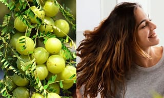 Mushroom safety guide: മരണം വിതയ്ക്കുന്ന വിഷക്കൂണുകളെ മാറ്റി നല്ല കൂണുകളെ എങ്ങനെ തിരിച്ചറിയാം?