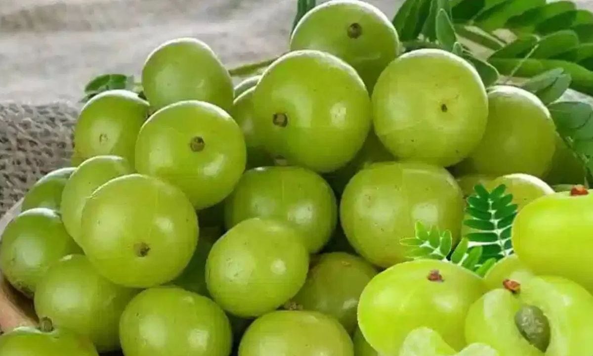 ശേഷം ഒരു മൈൽഡ് ഷാംപൂ ഉപയോഗിച്ച് കഴുകിക്കളയുക. മറ്റൊന്ന് നെല്ലിക്ക പൊടിയും യോഗർട്ടും തമ്മിലുള്ള ഒരു ഹെയർ മാസ്ക്കാണ്. അല്പം നെല്ലിക്ക പൊടിയെടുത്ത് യോഗത്തിൽ മിക്സ് ചെയ്തതിനു ശേഷം തലയിൽ പുരട്ടുക. ഇത് ഒരു 30 മിനിറ്റ് തലയിൽ വെച്ചതിനുശേഷം കഴുകി കളയുക. നെല്ലിക്ക ജ്യൂസ് കൊണ്ട് തല കഴുകുക.  (PHOTO: TV9 Network)