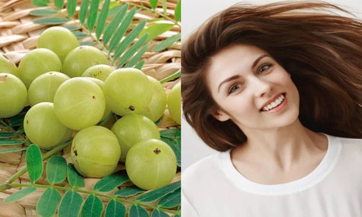 കരിഞ്ഞു പോകരുത് ഒരു പ്രത്യേക രീതിയിൽ അത് എണ്ണയിലേക്ക് ഇറങ്ങി വരുമ്പോൾ തീ ഓഫ് ചെയ്യുക. നന്നായി അരച്ചെടുത്ത ശേഷം വെളിച്ചെണ്ണയിൽ ഇട്ട് മൂപ്പിക്കുക കരിഞ്ഞു പോകരുത് ഒരു പ്രത്യേക രീതിയിൽ അത് എണ്ണയിലേക്ക് ഇറങ്ങി വരുമ്പോൾ തീ ഓഫ് ചെയ്യുക. അരിച്ചെടുത്ത് ആ എണ്ണ തലയിൽ തേക്കുക. കൂടാതെ പതിവായി ഒരു നെല്ലിക്ക രാവിലെ കഴിക്കുന്നതും തലമുടി പൊഴിയുന്നത് കുറയ്ക്കാൻ സഹായിക്കും.  (PHOTO: TV9 Network)
