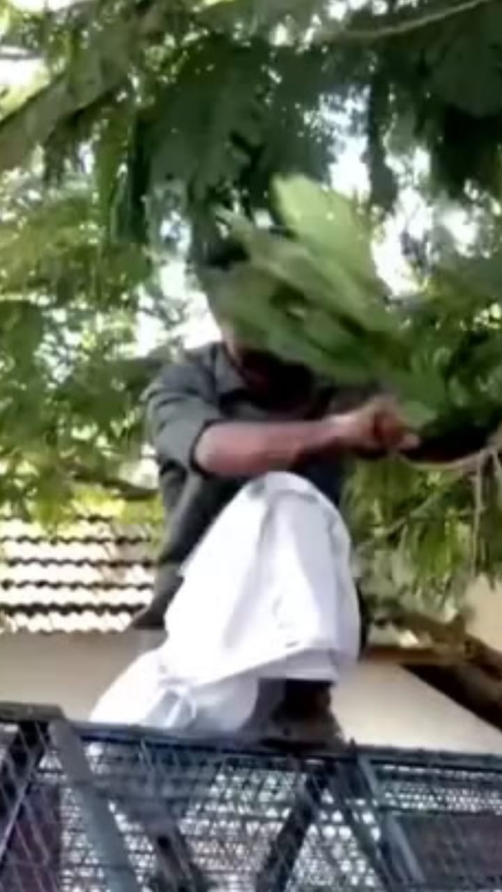 വീണാ ജോർജ്ജിൻ്റെ വീടിന് മുൻപിൽ പ്രതിഷേധം