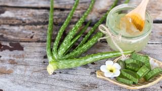 Renu Sudhi: ഞാനത് പറഞ്ഞപ്പോൾ ചേച്ചിക്ക് പ്രായമായില്ലേ എന്നാണ് അവൻ ചോദിച്ചത്! അലിൻ ജോസ് പെരേരയുമായുള്ള വിവാദത്തിൽ പ്രതികരിച്ച് രേണു സുധി