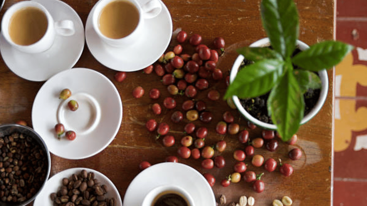 കാപ്പി വിലയിൽ അടുത്തിടെ വലിയ വർദ്ധനവ് ഉണ്ടായിട്ടുണ്ട്. യുഎസ് താരിഫും കാലാവസ്ഥയുമാണ് കാപ്പി വിലയെ ബാധിച്ചത്. നിലവിൽ കേരളത്തിലെ പ്രധാന കാപ്പി വിപണികളിൽ ഒരു ക്വിറ്റലിന് 22200 രൂപ മുതൽ 23,400 രൂപ വരെയാണ് വില.