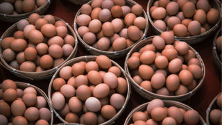 Without Stepney Cars: പെട്ടു പോകും, സ്റ്റെപ്പിനി ഇല്ലാത്ത കാറുകളുണ്ടേ, പകരം സംവിധാനം വേറെ