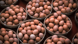 Egg Rate: മുട്ട കഴിക്കാൻ അൽപം പാടുപെടും; വില സർവകാല റെക്കോർഡിൽ