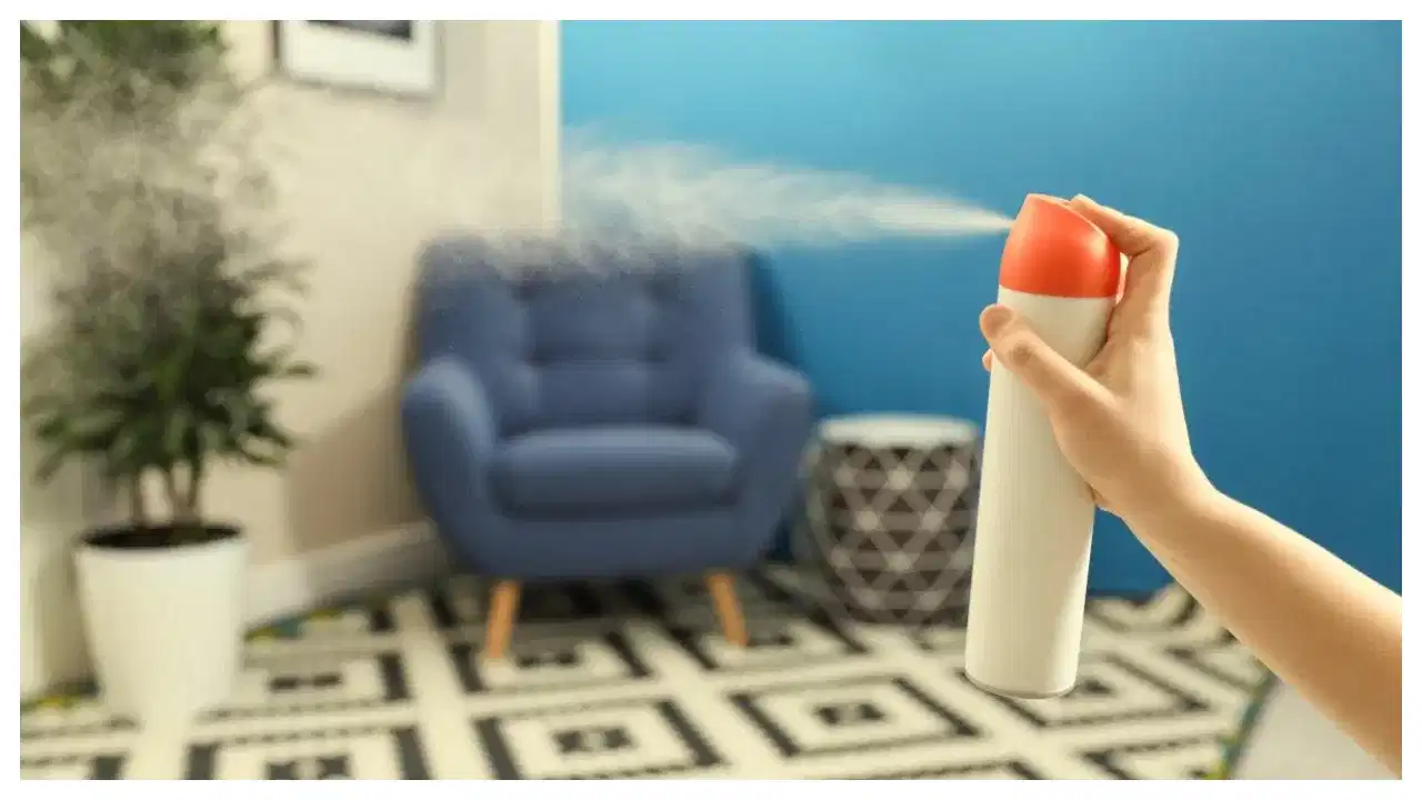 Homemade room freshener: വലിയ വിലകൊടുക്കേണ്ട... എളുപ്പത്തിൽ തയ്യാറാക്കാം ഹോംമെയ്ഡ് റൂംഫ്രെഷ്നർ