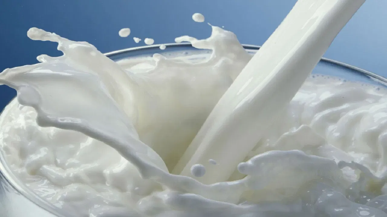 കൊഴുപ്പ് കുറവായതിനാൽ, ശരീരഭാരം നിയന്ത്രിക്കാൻ ശ്രമിക്കുന്നവർക്കും, കൊളസ്ട്രോളിന്റെ അളവ് കുറയ്ക്കാൻ ആഗ്രഹിക്കുന്നവർക്കും ടോൺഡ് പാൽ ഉപയോഗിക്കുന്നത് വളരെ പ്രയോജനകരമാണ്.