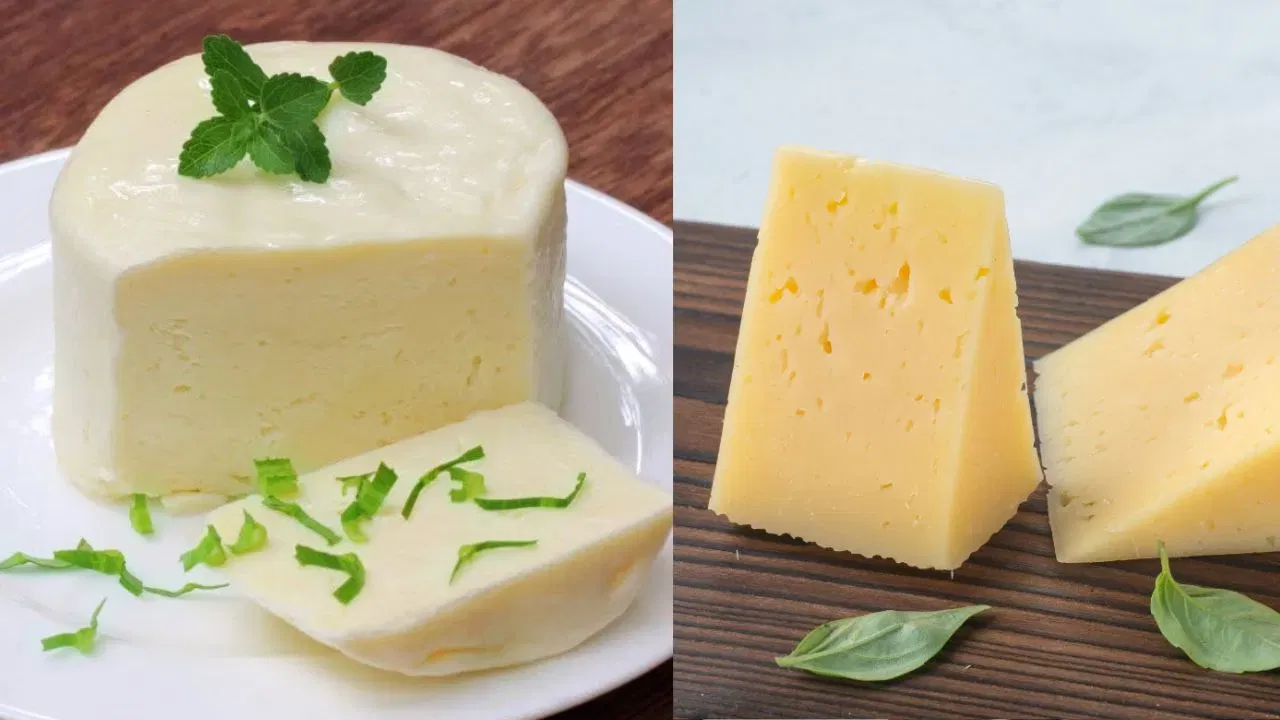 അളവിന്റെ അടിസ്ഥാനത്തിൽ (ഔൺസ്-ടു-ഔൺസ്) പർമേസൻ ചീസിന് ചിക്കൻ ബ്രസ്റ്റിനേക്കാൾ പ്രോട്ടീൻ കൂടുതലാണ്. ഒരു ഔൺസ് പർമേസൻ ചീസിൽ 10.1 ഗ്രാം പ്രോട്ടീൻ ഉണ്ട് (ഒരു ഔൺസ് ചിക്കൻ ബ്രസ്റ്റിൽ 7.9 ഗ്രാം പ്രോട്ടീൻ മാത്രമാണുള്ളത്).