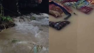 Shiva Priya Death: ശിവപ്രിയയുടെ മരണം; അന്വേഷണത്തിന് വിദഗ്ധ സമിതി, രണ്ട് ദിവസത്തിനകം റിപ്പോർട്ട് സമർപ്പിക്കാൻ നിർദേശം