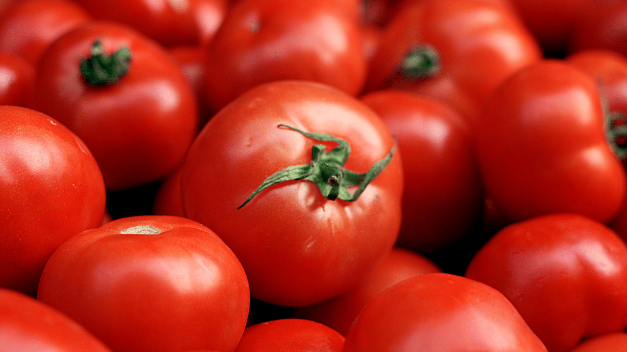 Tomato Price Hike: തക്കാളി നൂറ് കടന്നു; പേടിക്കേണ്ട ഇവരെ വെച്ച് അഡ്ജസ്റ്റ് ചെയ്യാം, വിലയും കുറവാണ് Tomato Price Hike: തക്കാളി നൂറ് കടന്നു; പേടിക്കേണ്ട ഇവരെ വെച്ച് അഡ്ജസ്റ്റ് ചെയ്യാം, വിലയും കുറവാണ്