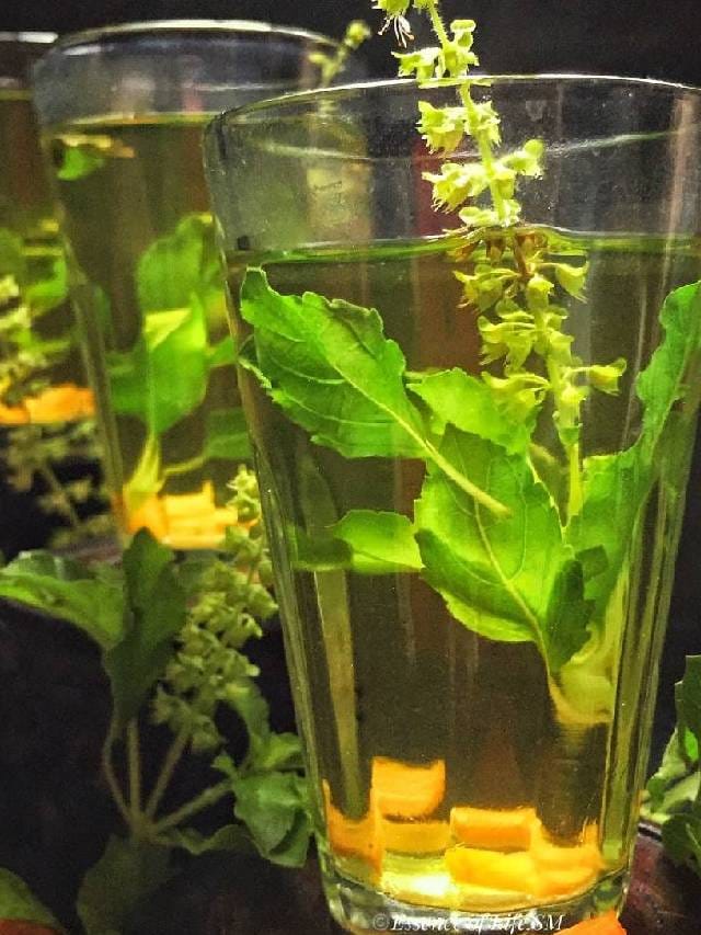 തുളസി ഇലയിട്ട വെള്ളം കുടിക്കൂ... കാണാം അത്ഭുതം