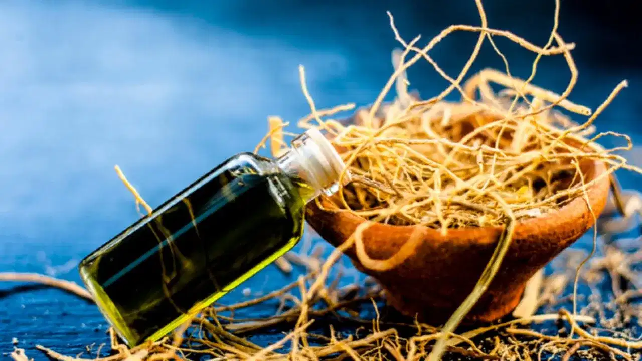 Vetiver farming: രാമച്ച വേരിന് ഡിമാന്റ് കൂടുന്നു... കുതിച്ചുയർന്നു വില...