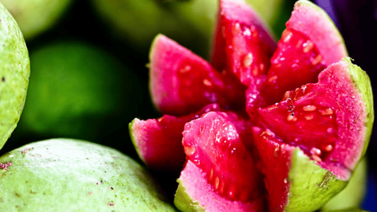 പട്ടികയിൽ അടുത്തത് പേരയ്ക്ക ആണ് ഏകദേശം 247 മില്ലിഗ്രാം വിറ്റാമിൻ സിയാണ് ഇവയിൽ ഉള്ളത്. അതുപോലെ പോഷകങ്ങളുടെ കലവറയാണ് കിവി പഴം.  ഓറഞ്ചിനേക്കാൾ കൂടുതൽ വൈറ്റമിൻ സി കിവിയിലുണ്ട്.